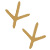 golden icon of bird foot tracks