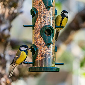 a pair of birds perched on and feeding from a bird feeder